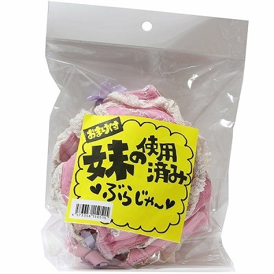 ���̎g�p�ς݃u���W���[