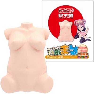 ���{�����A���{�f�B�{�R�c�{�[���V�X�e���@�i�ۂ�����莝�c�܂�j�@��w�\��