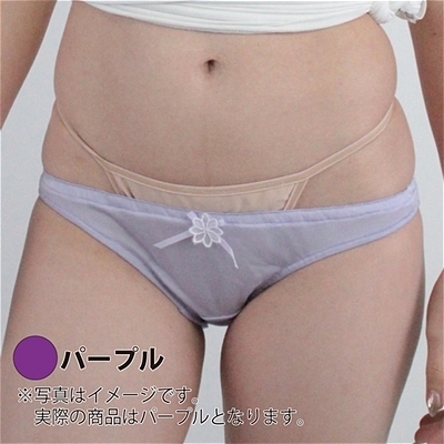 �ʋC���̗ǂ�����C���S���t���o�b�N�@�i�p�[�v���j