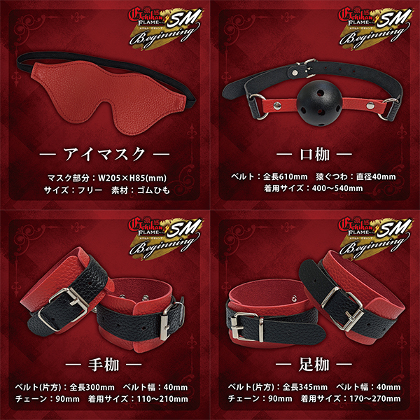 �����t���C���@�i�r�l�r�M�j���O�j