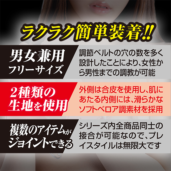 �r�l�������i�X�}�[�g�j�@�S�@��