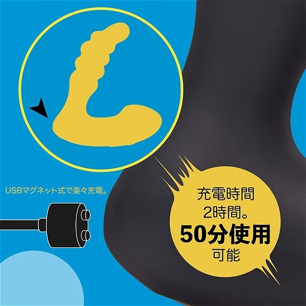 �a�k�t�d�@���������@�o�q�n�c�c�d�q�i�v���b�_�[�j