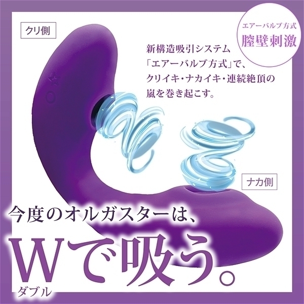 ���z������I���K�X�^�[�v�z���@�i�p�[�v���j